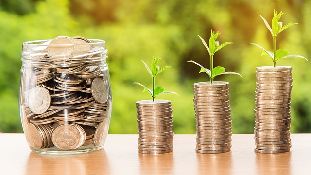 9 tipů, jak v domácnosti ušetřit nějakou tu korunu